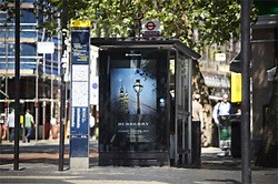 Developing a Digital IQ