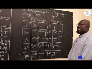 Course - Terminale S1&S2 - SVT: Course summary / Genetics / Application / Suite 5 / M. Gnasse