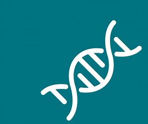 The BRCA1 and BRCA2 gene mutations can significantly increase the risk of breast, ovarian, and other types of cancer—but regular cancer screenings help identify mutations and allow for proactive preventions. If you have a family history or suspect a BRCA gene mutation, our experienced oncologists can help. To learn more, visit https://bit.ly/43Z1mPW #CancerScreening #BRCAGeneMutation | Oncology Hematology Care, Inc. | Facebook