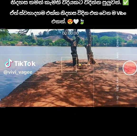 ඒත් ස්වභාදහම එක්ක නිදහස විදින එක වෙන ම Vibe එකක්. 😍🤍🍃 2026/03/27 #vivi_vagee #srilankan_tik_tok🇱🇰 #kurunagala #nature