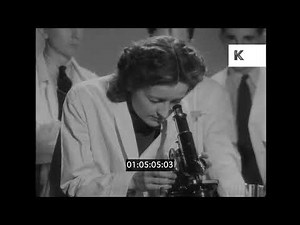1930s, 1940s UK, Scientists Researching Bacteria Transmission, Microscope