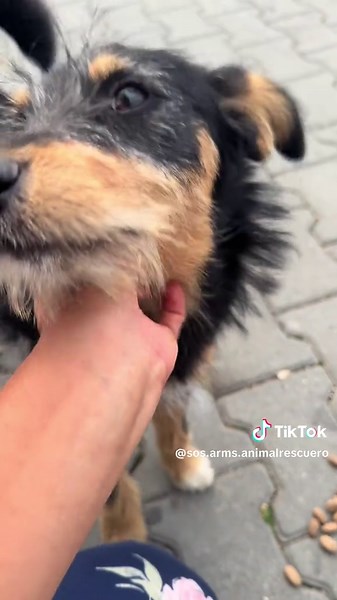 Când oprești la benzinărie și cobori din mașină ... 🥺