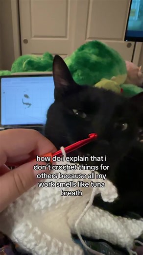 #cat #crochet