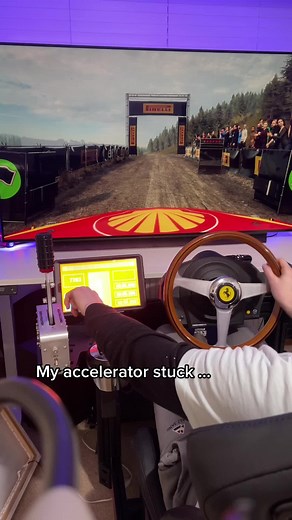 #viral#thrustmaster#gamingsetup#gaming#rally#wrc#dirtrally2.0#fast# follow me 🏆