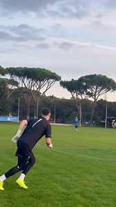 Spring & Control 🚀 theonegloveco #goalkeeper #goalkeepertraining | Declan McCarthy