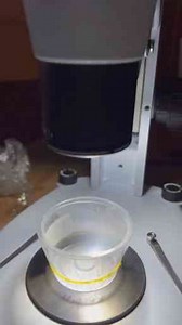 World’s Deadliest Spider Under the Microscope | Busted or True?