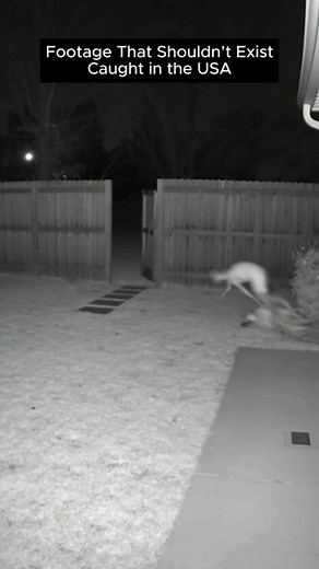 18K views · 246 reactions | Follow us Disturbing reels into the...