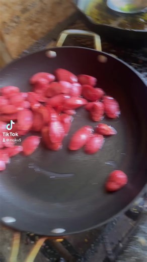 Cooking video turn into random video.Cooking with chipmunks 🐿️ in my back🤣