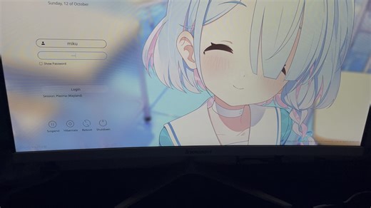初音动态logo+崩铁grub+碧蓝sddm+Linux