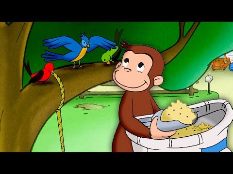 ¡Vamos a alimentar a los pájaros! | Jorge El Curioso En Español