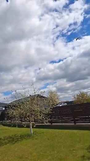 Pocius Darius on Reels