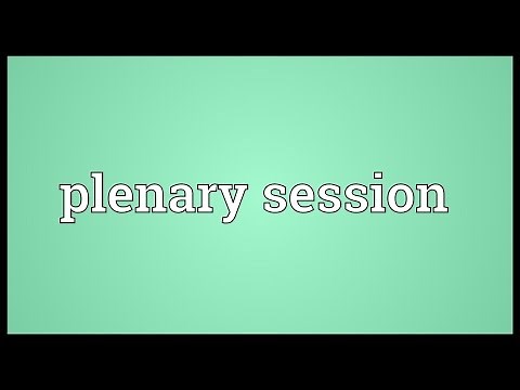 Plenary session Meaning