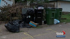 Report calls for major changes to how Edmonton deals with waste