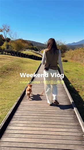 ハナの暮らし on Instagram: "ワンちゃんと楽しめる1泊2日山梨旅行 1日目⛰️☀️🐶 📍足柄サービスエリア →わんちゃんのドッグランもあったり、足湯があったり👀飲食店も多くて、SAとして楽しいかも🙂‍↕️ 📍山中湖 →今回、私たちが行ったのは"山中湖交流プラザ きらら" という場所🌳湖の周りには広大な芝生もあったり、お散歩コースもあったよ〜✨ 📍ランチのビーフシチュー: 古志路さん →テラスのみワンちゃんOK! 山中湖から車で5〜7分で行ける距離だったよ🚗 📍ドッグラン付きパン屋さん:ZEIT →パンを食べれるテラス席も沢山あったり、 ワンちゃん連れじゃなくても楽しめる空間🌳 ドッグランは木々に囲まれていて、素敵な場所でした🐶 📍PAPER MOONカフェ →店内にはキッチン雑貨等もあったり、お店も可愛くて...そして何よりケーキが美味しい🍰✨ 🐻さんはあんずのチーズケーキ、私はティラミスケーキを頼んだよ🙂‍↕️ 次回、最高すぎた宿を紹介するね〜☀️ お楽しみに:-) #山梨旅#犬旅#ペットOK#国内旅行#週末旅"