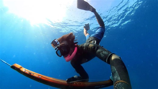 Ocean Hunt Spearfishing for the Perfect Catch