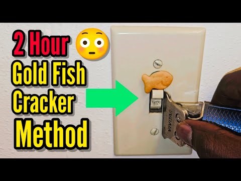 2 Hour Gold Fish Cracker Method Looped for Relaxation