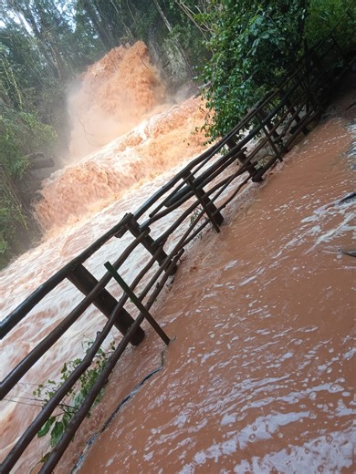 Karura Forest trails closed after heavy rains