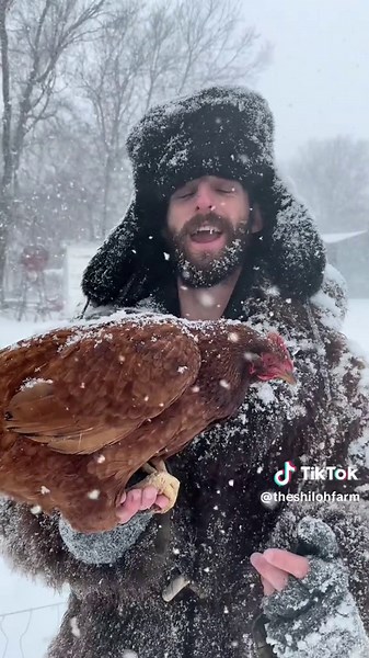 Do Chickens Enjoy Snowy Weather?