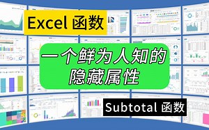 第296期Subtotal函数一个鲜为人知的属性，特别容易引发错误