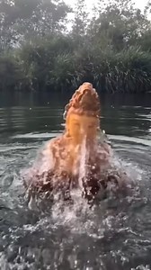 NAM MÔ A DI ĐÀ PHẬT 🙏 | Made in Home