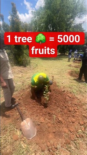 1 tree producing 1000 plants