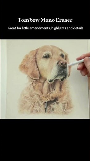 Find this Step-by-Step Golden Retriever Tutorial on my website 🥰 #bonnysnowdonacademy #dogdrawing