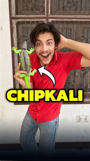 Remote Control Chipkali 💀🦎 | Mini Vlog #shorts #minivlog #ashortaday #vlog #tranding #cats #cat