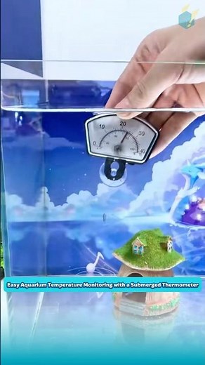 Easy Aquarium Temperature Monitoring with a Submerged Thermometer