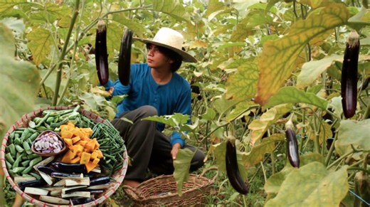 From garden to kitchen: The traditional way to make pakbet