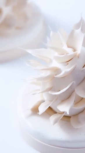 1.1K views · 18 reactions | Do you want to know the steps behind this Holiday gateau by Lauren V. Haas?  Watch the video. It features a  & cranberry compote, and is encased in a Zéphyr 34% white chocolate vanilla bean mousse with an almond biscuit. #ExpressYourTrueNature #CacaoBarry #wintercake #petitgateau #whitechocolate | Cacao Barry | Facebook