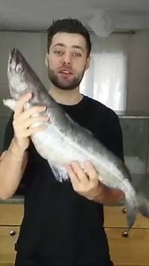 SQUIRREL Fish 🐿🐟 Living in Shanghai for the past 6 years, squirrel fish (松鼠桂鱼) was one of my all-time favorites. To me, it’s the most impressive way to serve a whole fish and a great alternative to the much more common steamed fish preparations. The key is removing the spine, carefully making vertical/horizontal incisions without damaging the skin. For today’s cook I whipped out the turkey fryer (I clearly overestimated the size of this fish) and assembled a simple sweet & sour sauce, then top