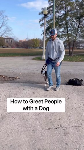 Vinnie Somma on Instagram: "How does your dog do approaching other dogs? I’ll talk about the on leash dog greetings below. you have to practice this in order to be good at this. I hear people consistently saying my dog sucks at…, But you need to set up training sessions were the one thing that you practice is this. Isolate the issue that your dog has, and turn it into a training session. Find another dog that you could practice with. If when approaching the other dog your dog starts acting out, 