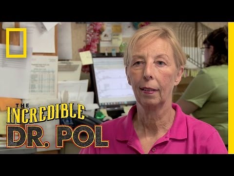 Chat With Diane Pol | The Incredible Dr. Pol