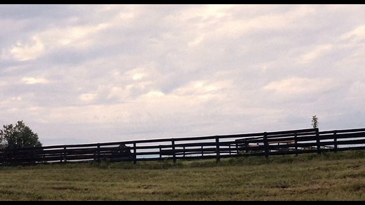 9K views · 297 reactions | Bonnie “Prince” Billy is the man who is...