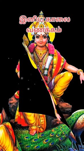 kayal (@kayal1989.12.19)’s videos with original sound - kayal