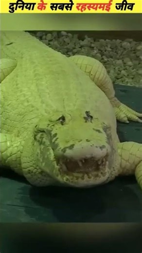 The most unusual creatures found in water #viral