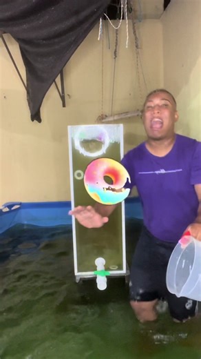 Live Stream Tips for Engaging Audience Feedback