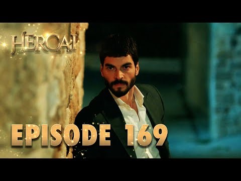 Hercai | Herjai Urdu - Episode 169
