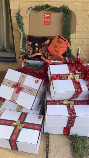 Droggo | Dog Gear on Instagram: "Apparently Santa Paws came early and he shops at Droggo 🎁🙌 . Packed a puppy starter pack for a soon to arrive little droggo that will be a family’s best sidekick ⚡️ . Bowls, treat pouch, harness and leash matching set 👌 . Ready to adventure 🤩 . If you’re hunting for an actually cute, actually useful Christmas gift, we’ve got you 😉🤙 . Build your own Droggo Xmas Bundle and get $20 off 🤑 . Automatic discount applied on check out 🧡 . #DroggoGear #XmasGiftIdea