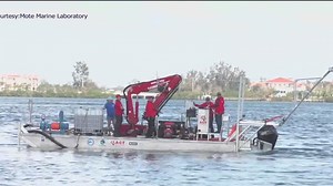 Mote Marine Lab deploys new tools against red tide