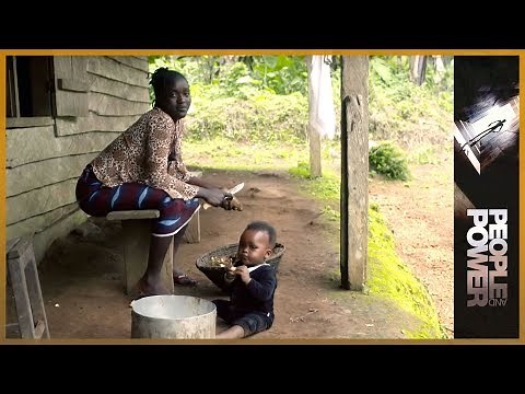 🇨🇲Cameroon: From Africa’s Palms l People and Power