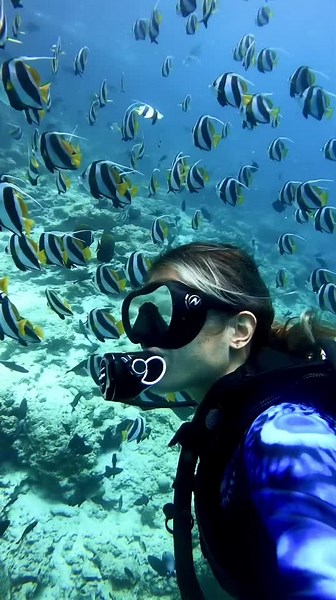 Underwater Adventure: Exploring Ocean Life