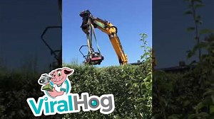 A very unconventional method of trimming hedges