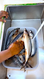 46K views · 765 reactions | Bathing my Nigeria  mackerel fish and turkey with India  water. | Lady B Kitchen & Lifestyle | Facebook