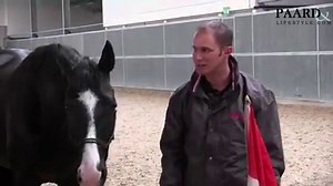 13K views · 291 reactions | What is the most common mistake dressage...