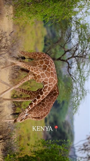 12 reactions | That lifetime opportunity. Did you know necking is a...