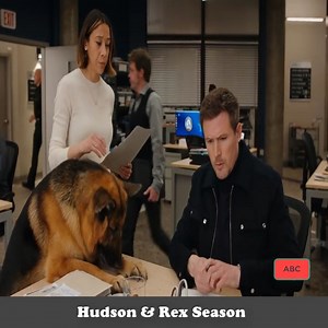 Hudson and Rex Season 4 Episode 16- Episode 16 #2 | ABC ABC