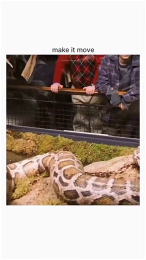 🎬 Movie: Harry Potter and the Sorcerer’s Stone (also known as Philosopher’s Stone) 📌 Genre: Fantasy, Adventure, Family ⏱ Runtime: 2h 32m ⭐ Rating: 7.6/10 (IMDb) 📖 Overview: On his 11th birthday, Harry Potter learns he’s not just an ordinary boy — he’s a wizard. Invited to attend Hogwarts School of Witchcraft and Wizardry, Harry discovers friendship, magic, and the mystery of the Sorcerer’s Stone while facing the dark shadow of Lord Voldemort #moviesuggestion #movies #harrypotter #magic | ON Z