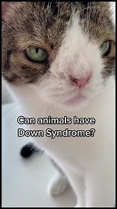 Can animals have Down Syndrome? 🤔 | Molly