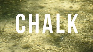 140 reactions · 29 shares | Check out our exciting new project,...